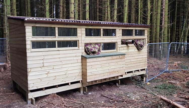 Osprey Hide Whats On In North Wales